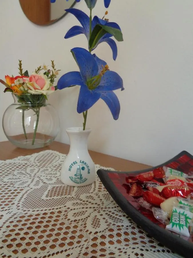 Hotel Lariana Rivazzurra Di Rimini 2*,  Italy